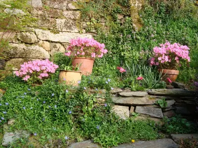 a garden with flowers in pots on a stone wall at A Casa da Eira in Cerreda