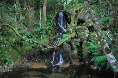 a waterfall in the middle of a forest at A Casa da Eira in Cerreda