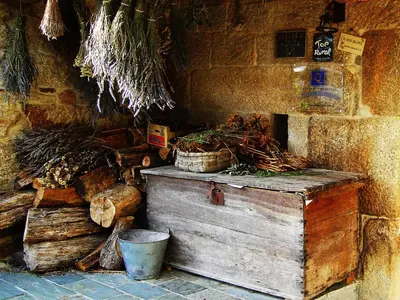 a wooden chest with plants on top of it at A Casa da Eira in Cerreda
