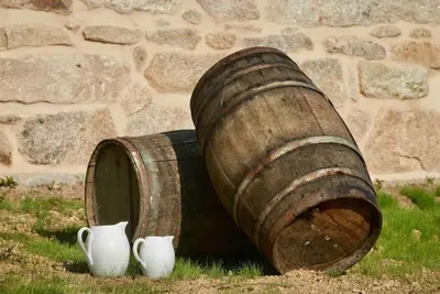 a wooden barrel and two white vases on the grass at Casa dos Alén in Ourense