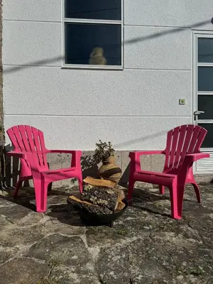 two pink chairs sitting next to a fire at Casa Grande de Cornide Santiago de Compostela in Teo