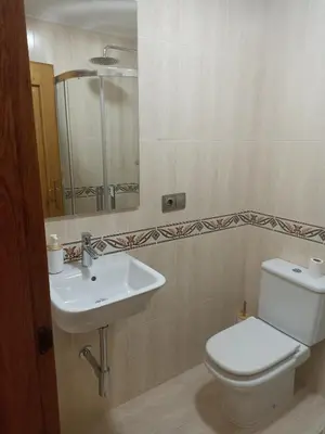 a bathroom with a white toilet and a sink at EL ATICO in Caldas de Reis