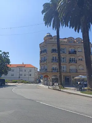 a building with a palm tree next to a street at EL ATICO in Caldas de Reis
