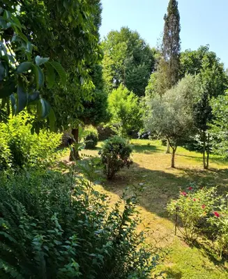 a garden with trees and bushes and grass at Pazo Xan Xordo in Lavacolla