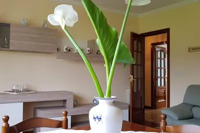 a white vase with a plant in it on a table at Apartamento A Pampillosa in Fazouro