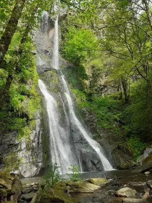 a waterfall on the side of a mountain with trees at Sons do Eo- Apartamentos ecológicos en la montaña de Lugo in Baleira