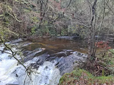 a river with a waterfall in the woods at Armada Sacra A Teixeira in Ourense