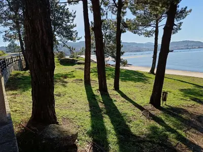 a group of trees in the grass next to a beach at 4 Soles in Puente Caldelas