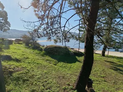a tree on a grassy hill next to a beach at 4 Soles in Puente Caldelas