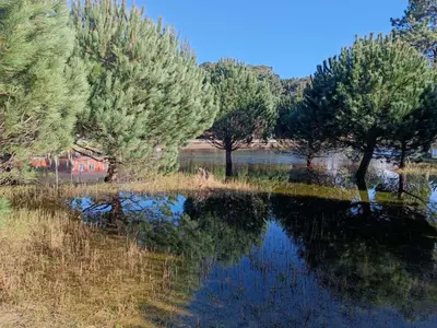 a reflection of trees in a body of water at 4 Soles in Puente Caldelas