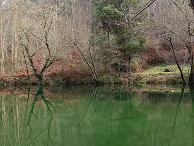 a body of water with trees in the background at 4 Soles in Puente Caldelas