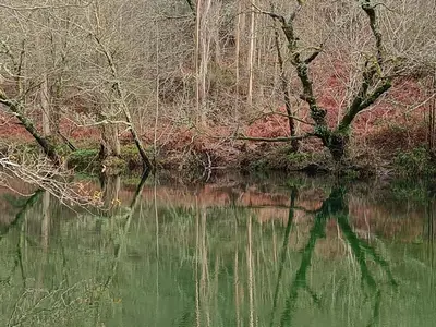 a body of water with trees in the background at 4 Soles in Puente Caldelas