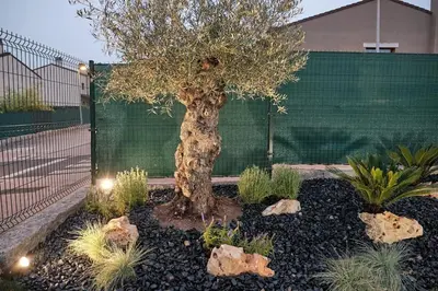 a tree in a garden with rocks and a fence at Yuhom, casas con alma, Xacedos 1 in Miño