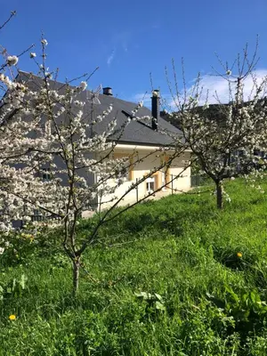 two trees in the grass in front of a building at Casa turismo rural Becar in Corullón