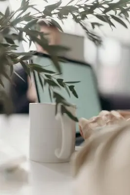 a plant sitting on a table with a cup and a laptop at Yuhom, casas con alma. Xacedos 3 in Miño