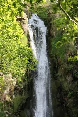 a waterfall in the middle of a forest at Duerming Ría de Viveiro in Viveiro