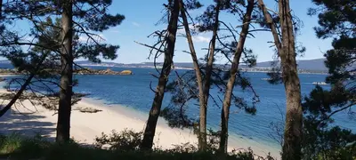 a view of a beach with trees in the foreground at Quintana&lev in Viveiro