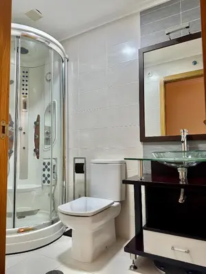 a bathroom with a shower and a toilet and a sink at Ático con vistas a la ría y a Foz in Barreiros
