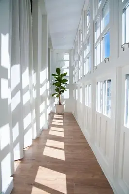 a plant in a pot in a hallway with windows at Albatros in Puentedeume