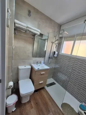 a bathroom with a toilet and a sink and a shower at Apartamento Alecrin Padrón in Padrón