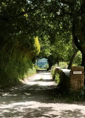 a dirt road with trees and a stone wall at Hotel Pazo de Bieite in Boimorto