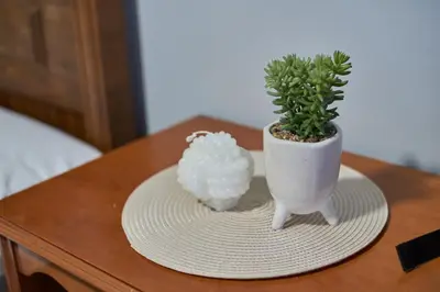 two potted plants sitting on a table with a plate at Hostal Molgas in A Medorra