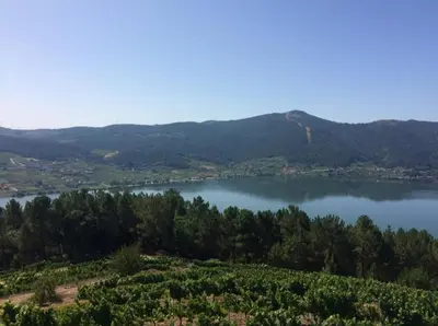 a view of a lake with mountains in the background at Cepas Da Cuenga in Ribadavia