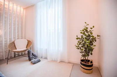 a room with a chair and a potted plant at Apartamentos Atia Catedral in Santiago de Compostela