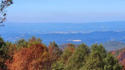 a view from the top of a hill with trees at O Busto Aldea Rural, Apartamento HORNO 1 in Puebla del Brollón