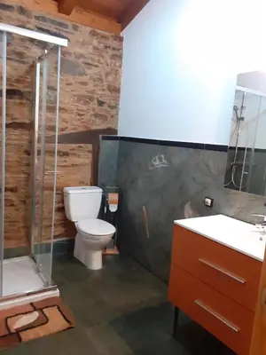 a bathroom with a toilet and a shower and a sink at O Busto Aldea Rural, Apartamento HORNO 2 in A Pobra do Brollon