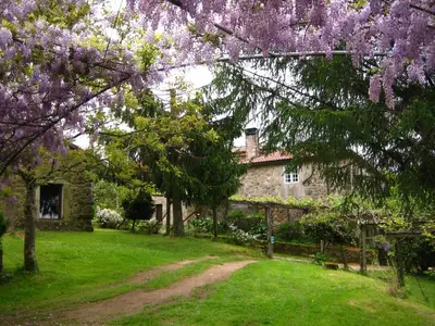 a garden with a house and trees with purple flowers at Casa de Casal in Lestedo