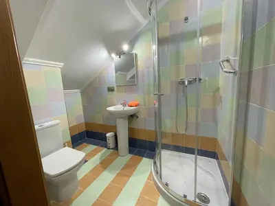 a bathroom with a shower and a toilet and a sink at Impresionante casa con parcela en la naturaleza in A Coruña