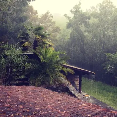 a palm tree sitting on top of a roof at O Muíño da Balsiña in Tuiriz