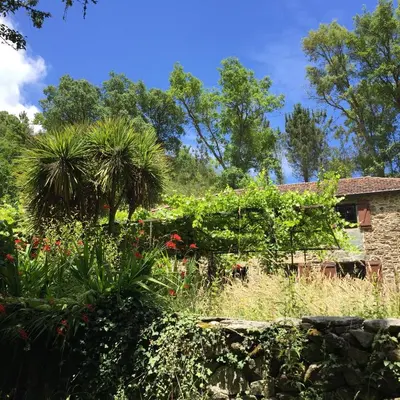 a garden in front of a house with plants at O Muíño da Balsiña in Tuiriz