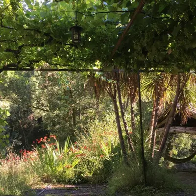 a garden with a lamp in the shade of a tree at O Muíño da Balsiña in Tuiriz
