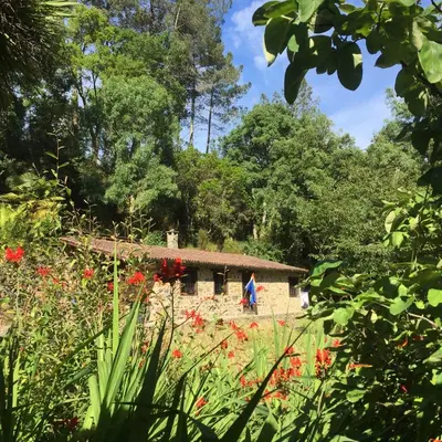 a garden with red flowers in front of a building at O Muíño da Balsiña in Tuiriz