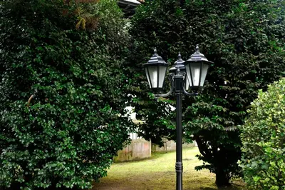 a black street light in front of a tree at Hotel y Apartamentos Arias in Navia