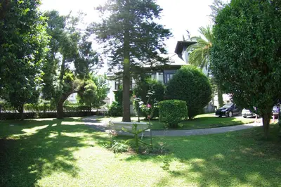 a yard with trees and a house with a driveway at Hotel y Apartamentos Arias in Navia