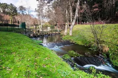 a stream of water in the middle of a field at El apartamento de Ordes in Órdenes