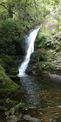 a waterfall in the middle of a stream of water at Casa O Coto in Grañas