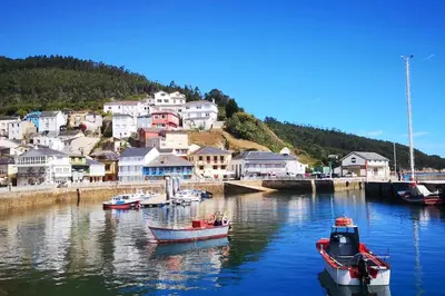 a group of boats are docked in a harbor at Casa O Coto in Grañas