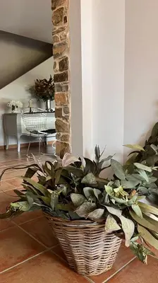 a basket with a plant in a room at BenedettaMolinaseca VuT in Molinaseca