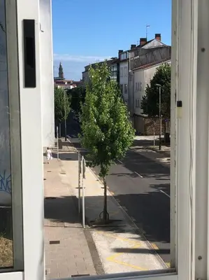 a window view of a street with a tree at Piso grande y muy luminoso in Santiago de Compostela