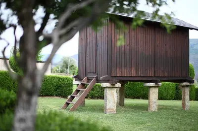 a tree house with a ladder in the grass at Hotel Monumento Pazo do Castro in O Barco de Valdeorras