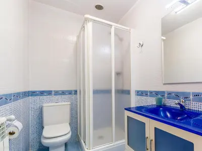 a bathroom with a shower and a toilet and a sink at Casa Naseiro in Melide