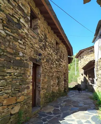 a dog standing next to a stone building at O Busto Aldea Rural in A Pobra do Brollon