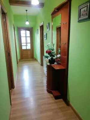 a hallway with green walls and wooden floors and a door at NIDO in Ribadeo