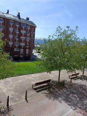 two benches and a tree in front of a building at BierzINN Alojamientos - Brujas in Ponferrada