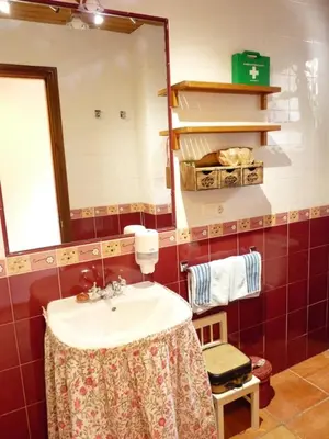 a bathroom with a sink and a mirror at Apartamentos Rurales CASONA DE LOLO in Caunedo