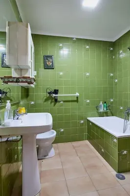 a green bathroom with a sink and a toilet at Casa de Mila en Creciente Pontevedra in Crecíente